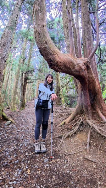 2026/02/08馬崙山3008173