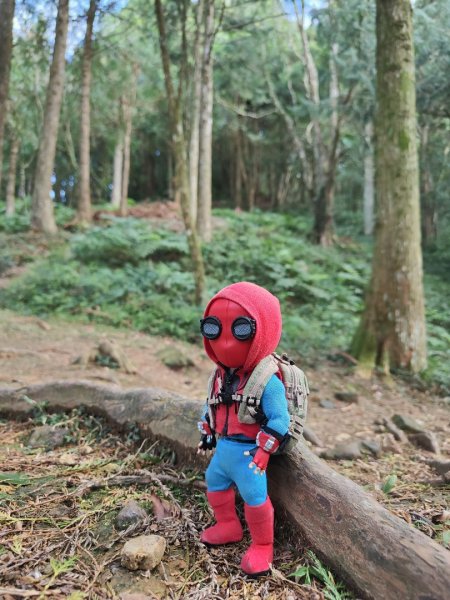 2023.12.27 東眼山2838847