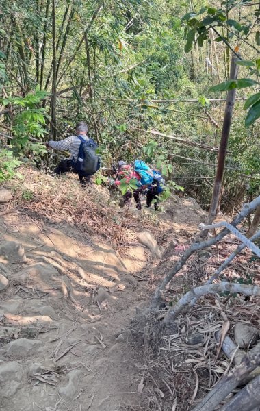 旗尾山(小百岳#)722765484