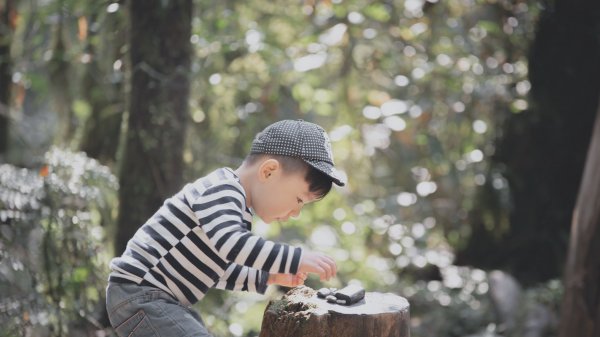 20200310-司馬庫斯神木群步道914311