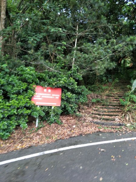香山森林步道1428355