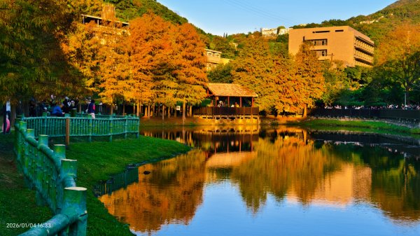 #花卉試驗中心 #永公路500巷 #平菁街42巷 #原住民公園 #士林官邸 1/42976587