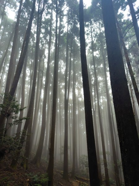 長壽山、肥崠山、醜崠山、大崠山、大崠山經建版2931613