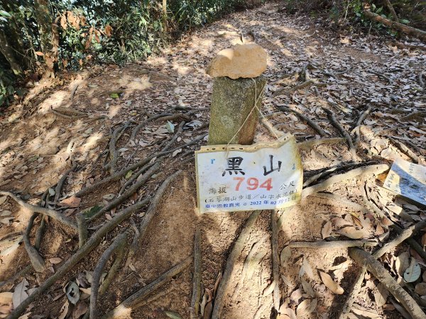 20230416大坑步道2~5+石苓湖山2175621