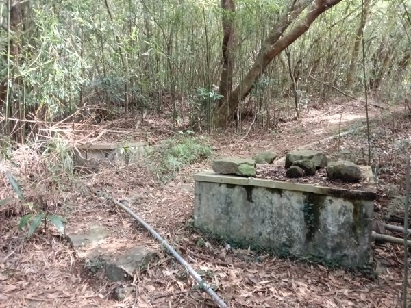 北投區大屯山西南南峰+西南峰+大屯山西峰+太子碑+清天宮步道O型2957140