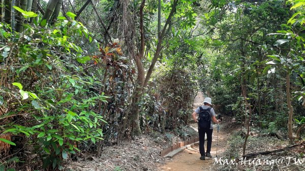 《嘉義》山光水色｜蘭潭後山步道O繞202309182288167