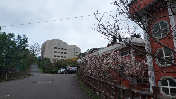小百岳NO.5觀音山 牛港稜步道  硬漢嶺   楓櫃斗湖登山步道2090105