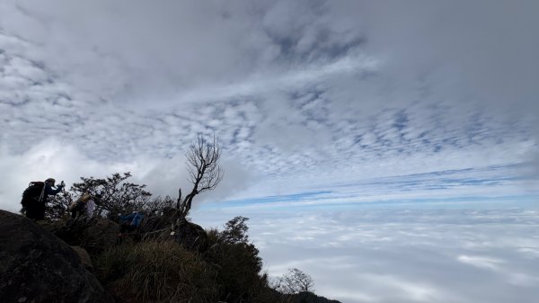 再也不爬囉（告別20252973156