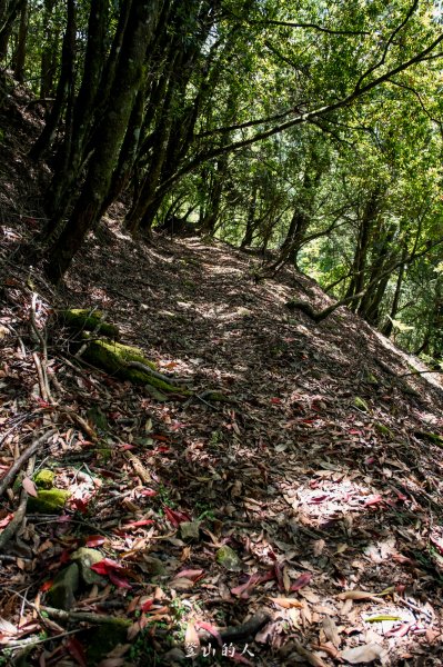 霞山鐵道野營2843124