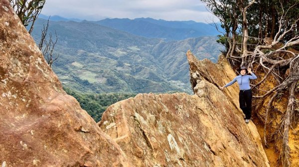 🌈12/28（日）北得拉曼神木+內鳥嘴山✨FB：熊熊趴爬走🌈2971303