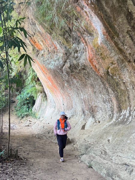 20250913_三峽鳶山爬山趣2882800