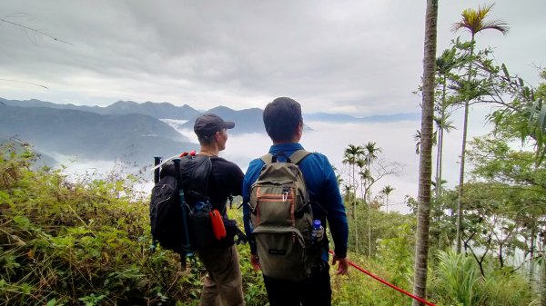 阿拔泉山稜線步道雲海1561758