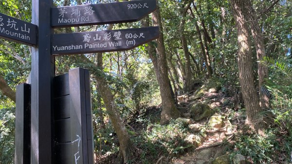 2025微笑山線大縱走尋寶集章任務-Ep.03【鳶山山系】鳶山彩壁段2893684