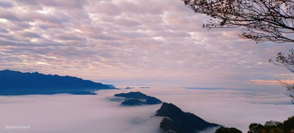 二訪馬拉邦山，解鎖 #琉璃光雲海 #日出雲海  #血月 #斜射光 #楓葉紅了！2668547