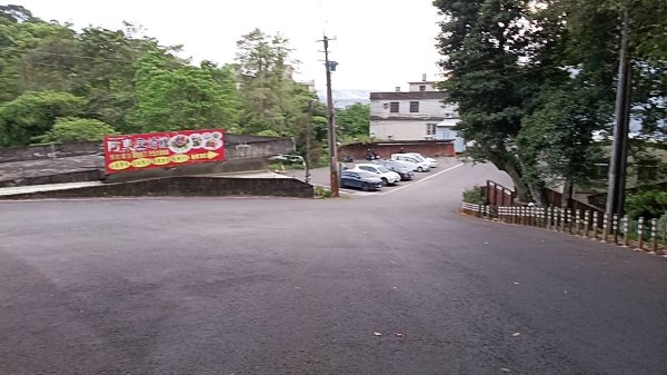 20250517 倒別牛-中坑山-飛鳳山 大O型2790387