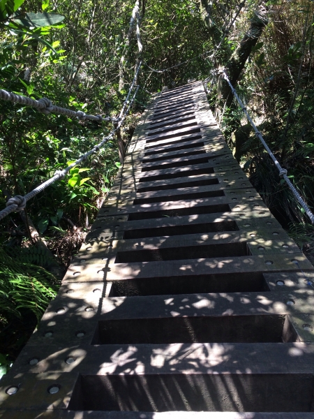 山岳之美 獅頭山8535