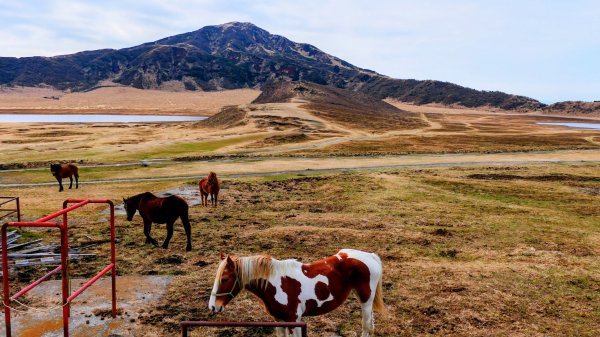 熊本阿蘇火山,草千里,砂千里3027764