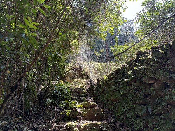 [淡蘭古道] 2026_0315 南路第三段_獵狸尖步道3017261