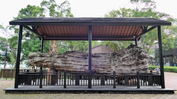 東勢林業文化園區2647959