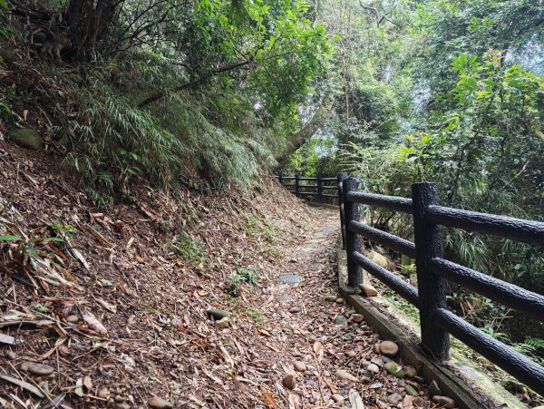 [皮皮獅動物派對-03/10] 2026_0822 石光古道(老虎山步道)3120797