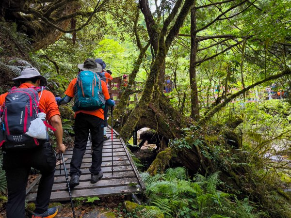 2025-05-17 羅葉尾溪秘境2792413