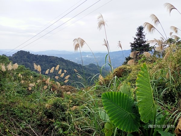 四訪苗栗的花果山-小百岳#037馬那邦山、雪霸國家公園管理處【小百岳集起來、苗栗-臺灣百大必訪步道】2394313