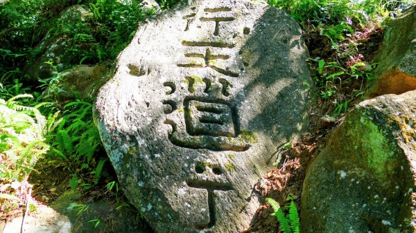 陽明山16草原之西線8草原2904066