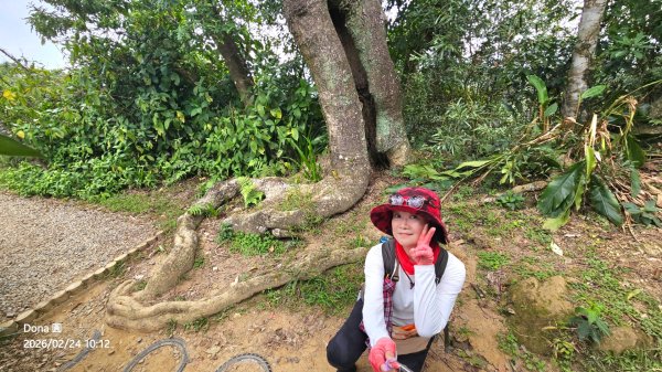 圓通寺烘爐地登山步道大O走3007000