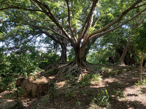 20250628高雄望雲山-尚書林山2826297