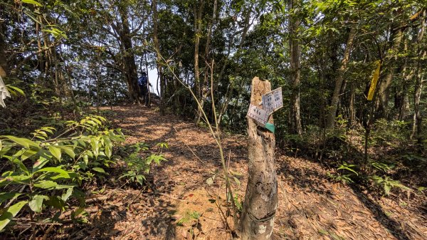 115.04.12金平山西峰-蝙蝠洞之旅3034714