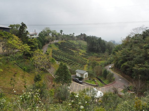 南投魚池貓囒山步道20200216838309