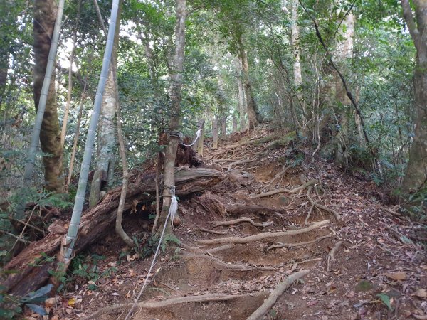 雲嘉南峰石壁山1558913