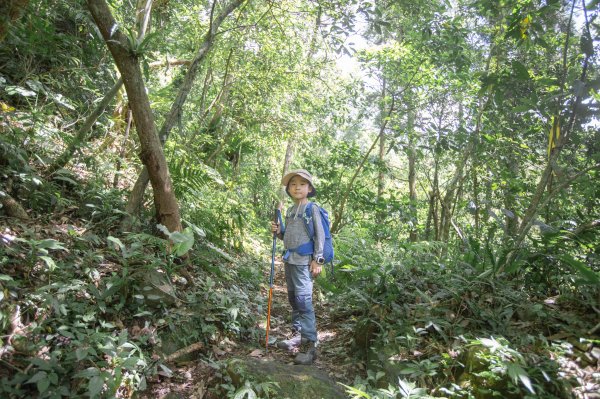 闊瀨古道-沿北勢溪谷而行的夏末之旅（淡蘭古道）2287638