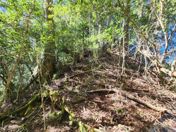 20241124布奴加里山2679121