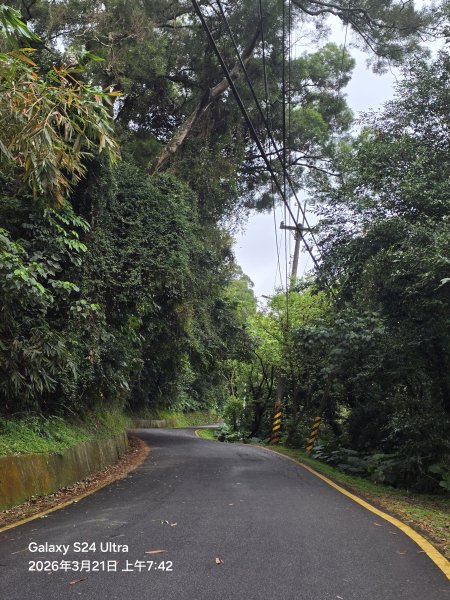2026-03-21微笑山線：【鳶山山系】鳶山彩壁段3020427