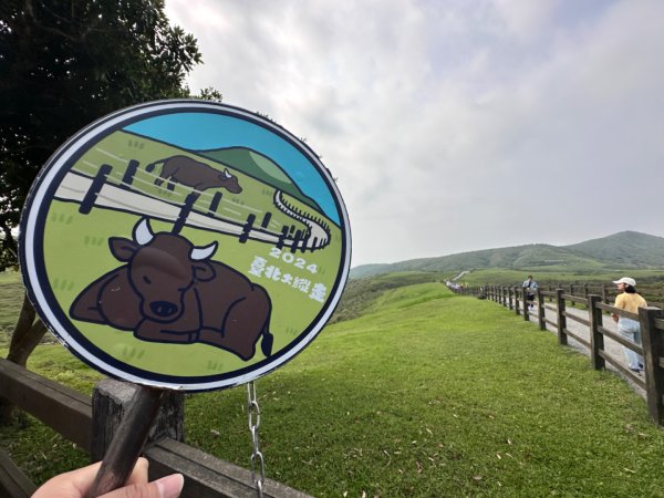 臺北大縱走第三段 小油坑》風櫃嘴2478275