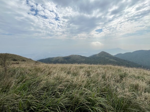 20240314_大屯山+紫明溪步道2855567