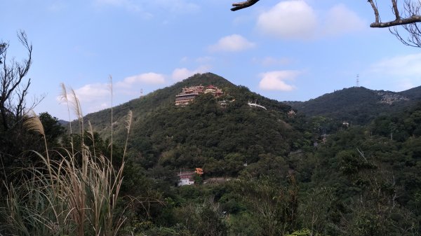 鯉魚山+忠勇山+大崙頭尾山+圓覺寺步道519525