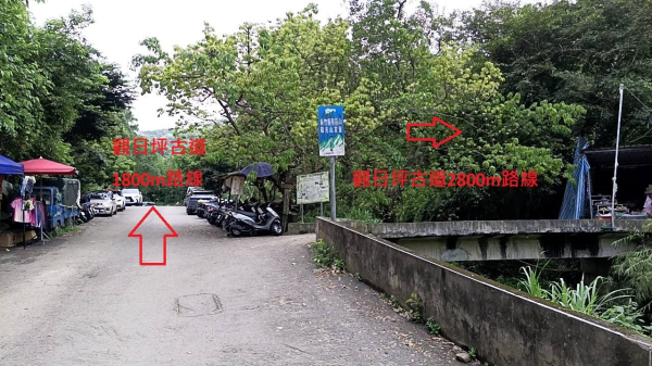 20250427 新竹芎林飛鳳山雙O型(觀日坪古道1800m陡上)