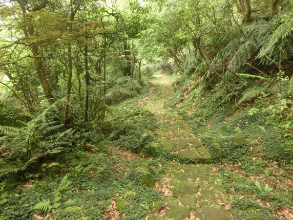 環七星山人車分道２326692