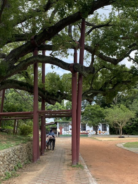 20250706-EP.06犁頭山、文山步道-2025森遊竹縣皮皮獅探險隊2851708