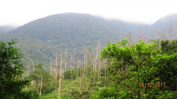 礁溪 - 聖母步道  煙雨故人來 ... 222682