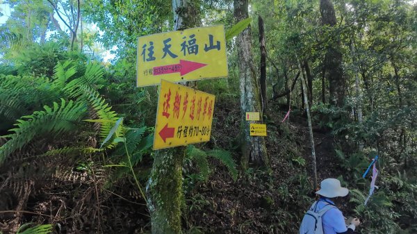 阿里山頂湖三連峰:天福山、芙蓉山、凸龜山2810094