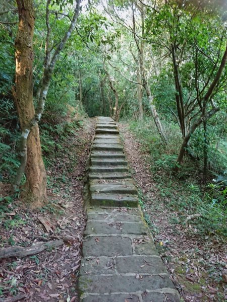 大崙頭尾親山步道470621