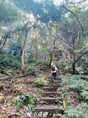 【新竹竹東】五指山登山步道3004823
