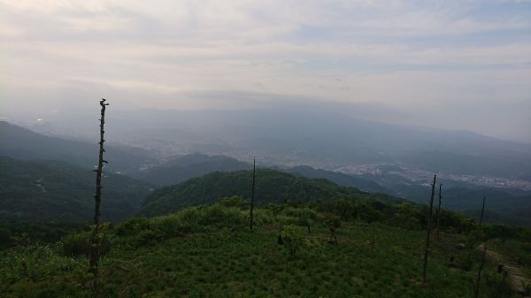 姜子寮山步道410631