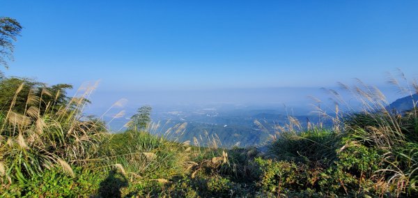 雲嘉5連峰2005260