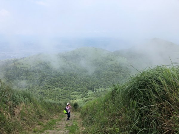 20190512 陽明山數不盡的階梯583197