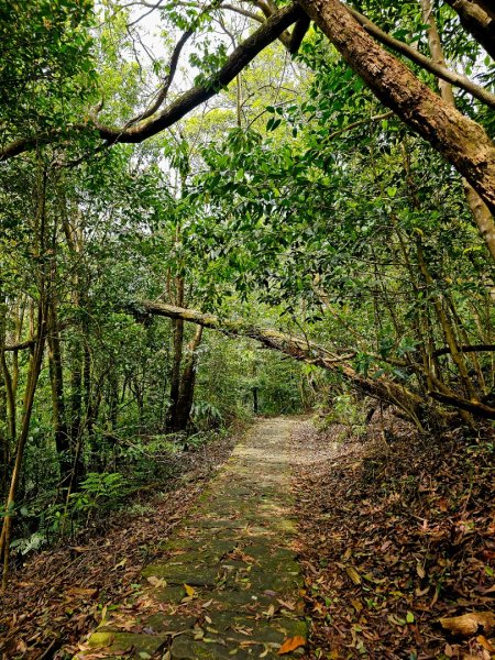 2025年臺北大縱走第五段：捷運劍潭站至碧山巖2755676