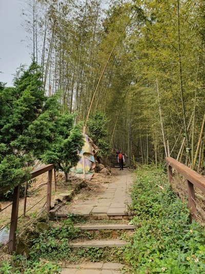 1090405後棟山連走大二尖山908330